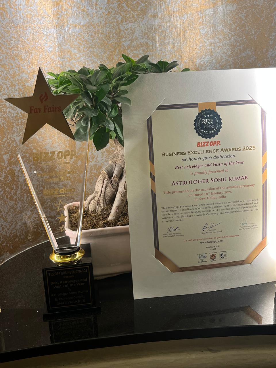 Business Excellence Award 2025 certificate